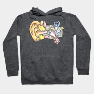 Human Inner Ear Anatomy Illustration Hoodie